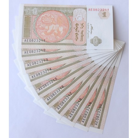 1 Tugrik - 1 ₮ (Mongolsko) / 2008 AE / UNC / 10 ks