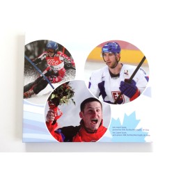 Sada oběžných mincí Slovenská republika / 2010 / ZOH Vancouver