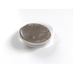 100 Korun - 100 Kčs / 1990 (K. Čapek) / * 1/1