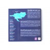 Sada oběžných mincí Česká republika / 2005 / euro